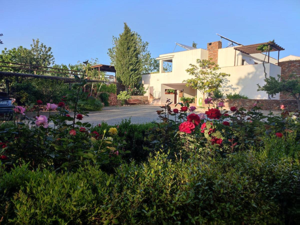 El Domingo En El Valle Fondón Exteriér fotografie